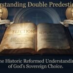 Understanding Double Predestination